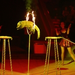 public://uploads/photos/img_1118_1.jpg