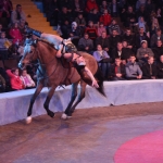 public://uploads/photos/img_1282_2.jpg