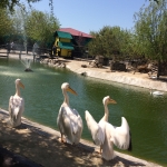 public://uploads/photos/img_1897-03-05-19-11-49_1.jpg