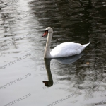 public://uploads/photos/img_3209.jpg