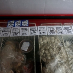 public://uploads/photos/img_4368_1.jpg