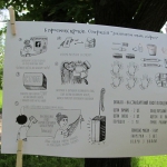 public://uploads/photos/img_5053.jpg