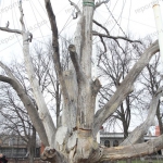 public://uploads/photos/img_6088_0.jpg