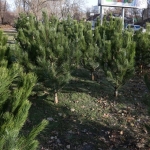 public://uploads/photos/img_6362_2.jpg