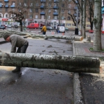public://uploads/photos/img_6937.jpg