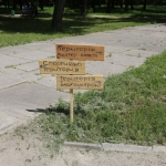 public://uploads/photos/img_7618_0.jpg
