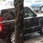 public://uploads/photos/img_8040.jpg