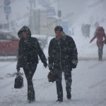 public://uploads/photos/img_8499.jpg