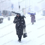 public://uploads/photos/img_8512_1.jpg