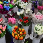 public://uploads/photos/img_9679_4.jpg