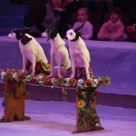 public://uploads/photos/img_9835_5.jpg