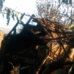 public://uploads/photos/izobrazhenie3.jpg