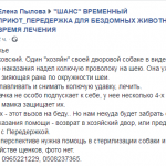 public://uploads/photos/kolyuchij2.png