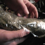 public://uploads/photos/marihuana.jpg