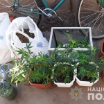 public://uploads/photos/narko_1_6.jpg
