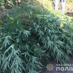 public://uploads/photos/narkot_kom_3.jpg