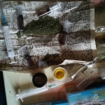 public://uploads/photos/narkotiki2_0.jpg