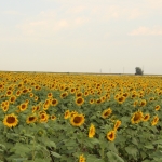 public://uploads/photos/o_1ci4bctjgs1q1kb01750o071qgn7n.jpg