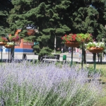 public://uploads/photos/o_1cih7jp0a1r7c12m1l1g1btohagt.jpg