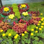 public://uploads/photos/o_1cih7jp0bevvmqo16m11smn79419.jpg