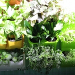public://uploads/photos/o_1dl7cb66t1fu050f1rk66nqnok40.jpg