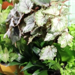 public://uploads/photos/o_1dl7cb66ts051d6vvdiuau1o4042.jpg