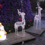 public://uploads/photos/o_1ep42hvsb1dig1t891nvf1jtg5t99r.jpg