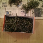 public://uploads/photos/pm263image003.jpg