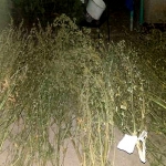 public://uploads/photos/pm334image003.jpg