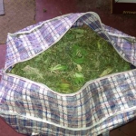 public://uploads/photos/pm408image002.jpg
