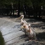 public://uploads/photos/rep_3835_1.jpg