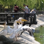 public://uploads/photos/rep_3852_0.jpg