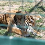 public://uploads/photos/rep_3900_0.jpg