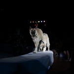 public://uploads/photos/rep_5271.jpg
