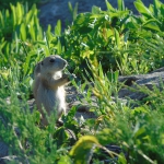 public://uploads/photos/zool_02.jpg