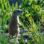 public://uploads/photos/zool_03.jpg