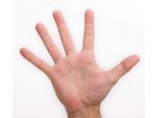 Корейские ученые размер члена определили по длине пальцев | Репортер UA